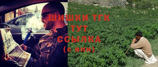 ГАЛЛЮЦИНОГЕННЫЕ ГРИБЫ Горно-Алтайск