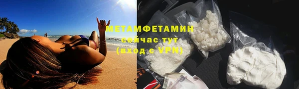 ГАЛЛЮЦИНОГЕННЫЕ ГРИБЫ Горно-Алтайск
