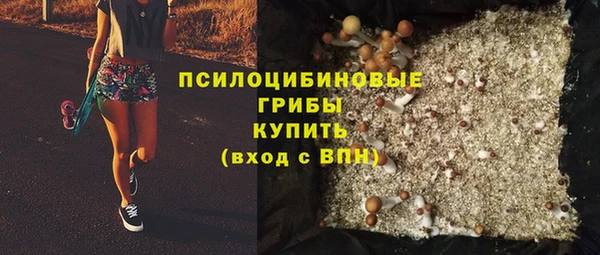 ГАЛЛЮЦИНОГЕННЫЕ ГРИБЫ Горно-Алтайск