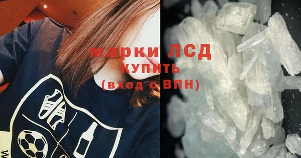 ГАЛЛЮЦИНОГЕННЫЕ ГРИБЫ Горно-Алтайск