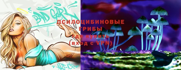 синтетический гашиш Горнозаводск