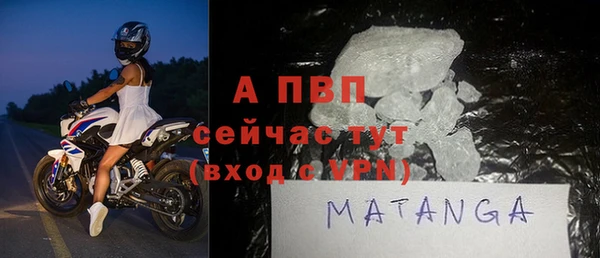 ГАЛЛЮЦИНОГЕННЫЕ ГРИБЫ Горно-Алтайск