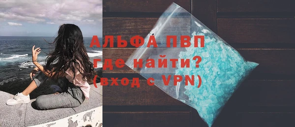 ГАЛЛЮЦИНОГЕННЫЕ ГРИБЫ Горно-Алтайск