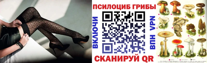 Купить  Клин  Псилоцибиновые грибы Psilocybine cubensis 